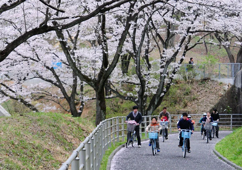 サイクリングコース