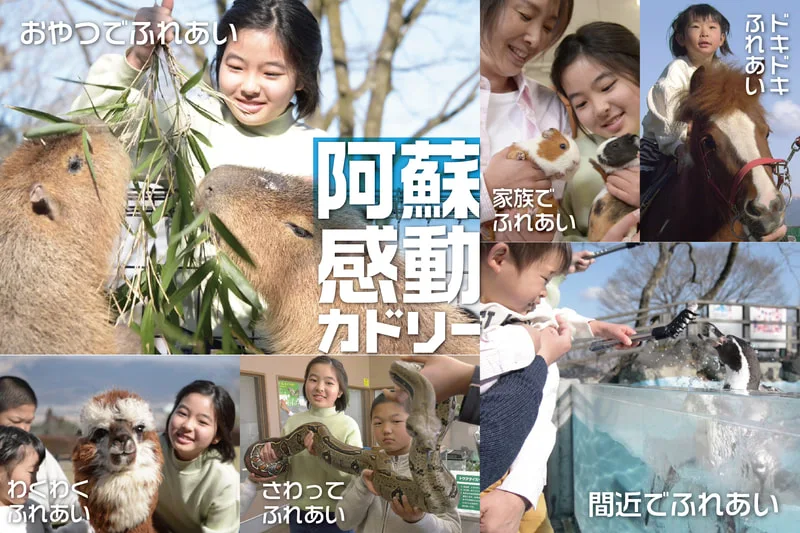 阿蘇カドリー・ドミニオンの施設紹介
