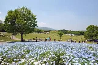 国営讃岐まんのう公園の施設紹介