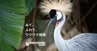 ネオパークオキナワ