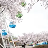 八戸公園こどもの国の公式写真