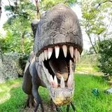 千葉こどもの国キッズダムの公式写真