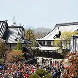登別伊達時代村の公式写真