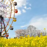 東京ドイツ村の公式写真