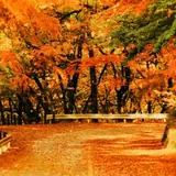 塩原温泉郷の公式写真