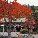 蔦温泉の公式写真