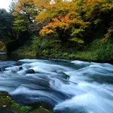 山中温泉の公式写真