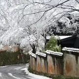 湯河原温泉の公式写真