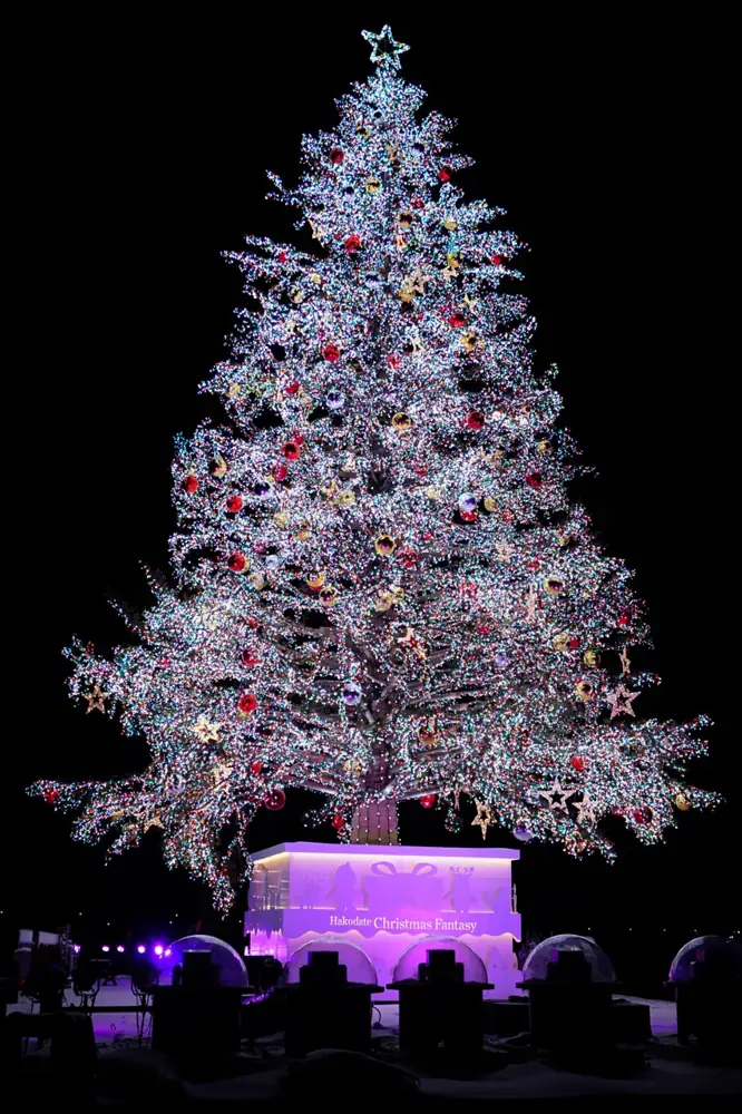 はこだてクリスマスファンタジーの過去の参考写真（2023）